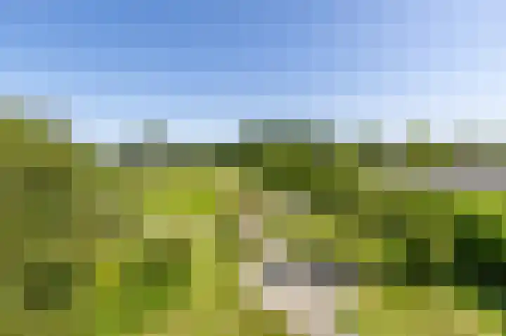 Zeerijperweg 6 Loppersum thumbnail 45