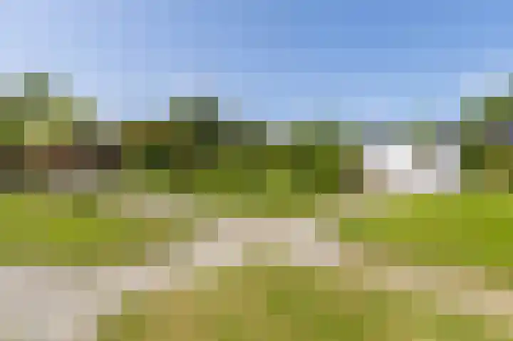 Zeerijperweg 6 Loppersum thumbnail 46