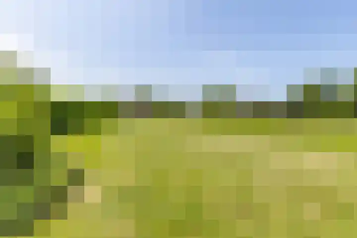 Zeerijperweg 6 Loppersum thumbnail 49