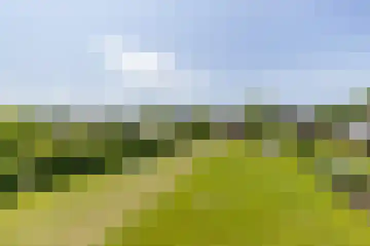Zeerijperweg 6 Loppersum thumbnail 50