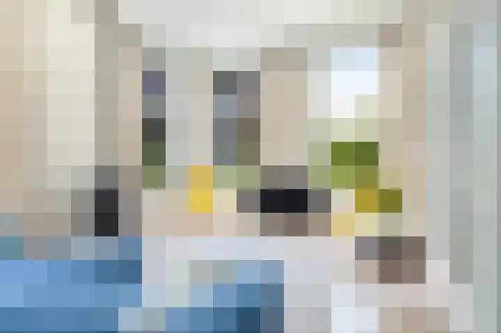 Zeerijperweg 6 Loppersum thumbnail 7