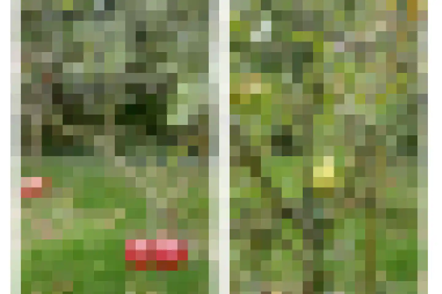 Zeerust 2 Noordgouwe thumbnail 10