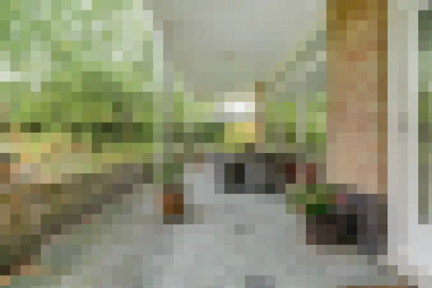 Zeerust 2 Noordgouwe thumbnail 12