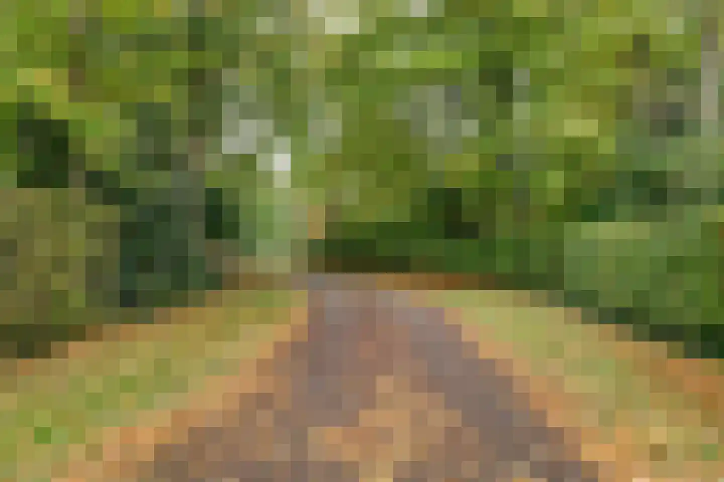 Zeerust 2 Noordgouwe thumbnail 4