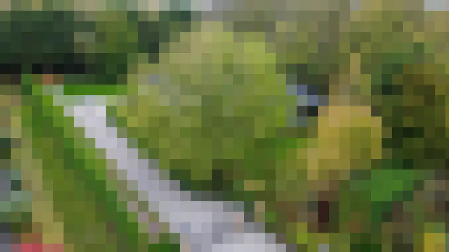 Zeerust 2 Noordgouwe thumbnail 48