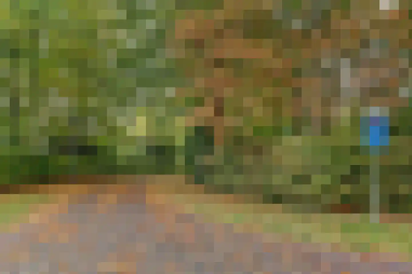 Zeerust 2 Noordgouwe thumbnail 49