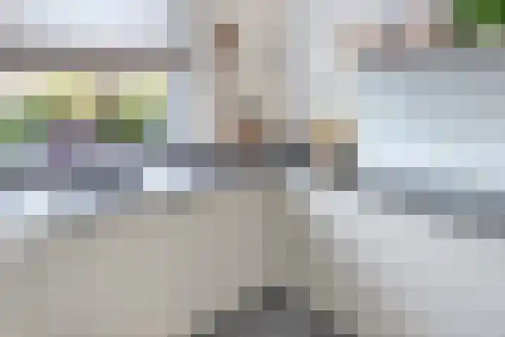 Zeerustlaan 36 Middelburg thumbnail 10
