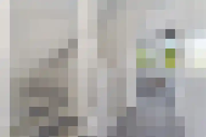 Zeerustlaan 36 Middelburg thumbnail 14