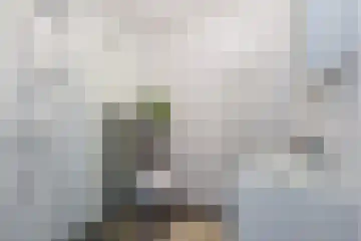 Zeerustlaan 36 Middelburg thumbnail 20