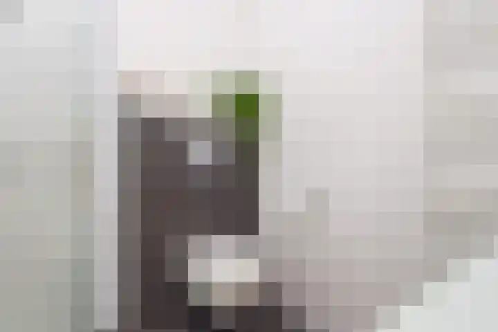 Zeerustlaan 36 Middelburg thumbnail 23