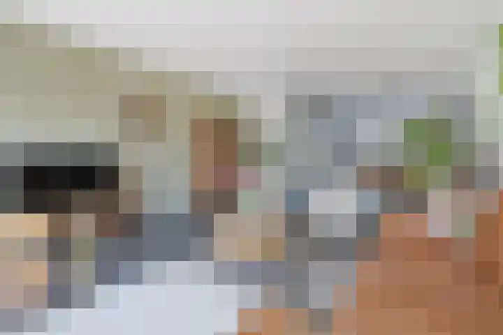 Zeerustlaan 36 Middelburg thumbnail 6