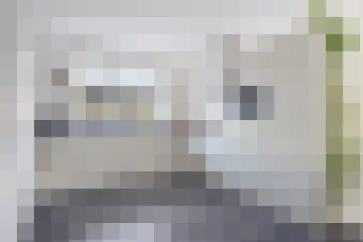 Zeerustlaan 36 Middelburg thumbnail 9