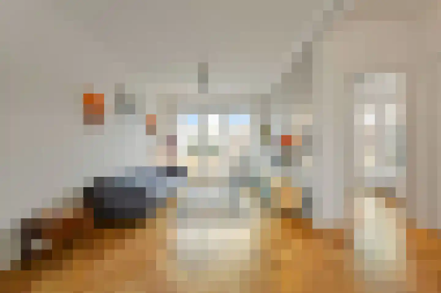 Zeeruststraat 212 Den Haag thumbnail 5