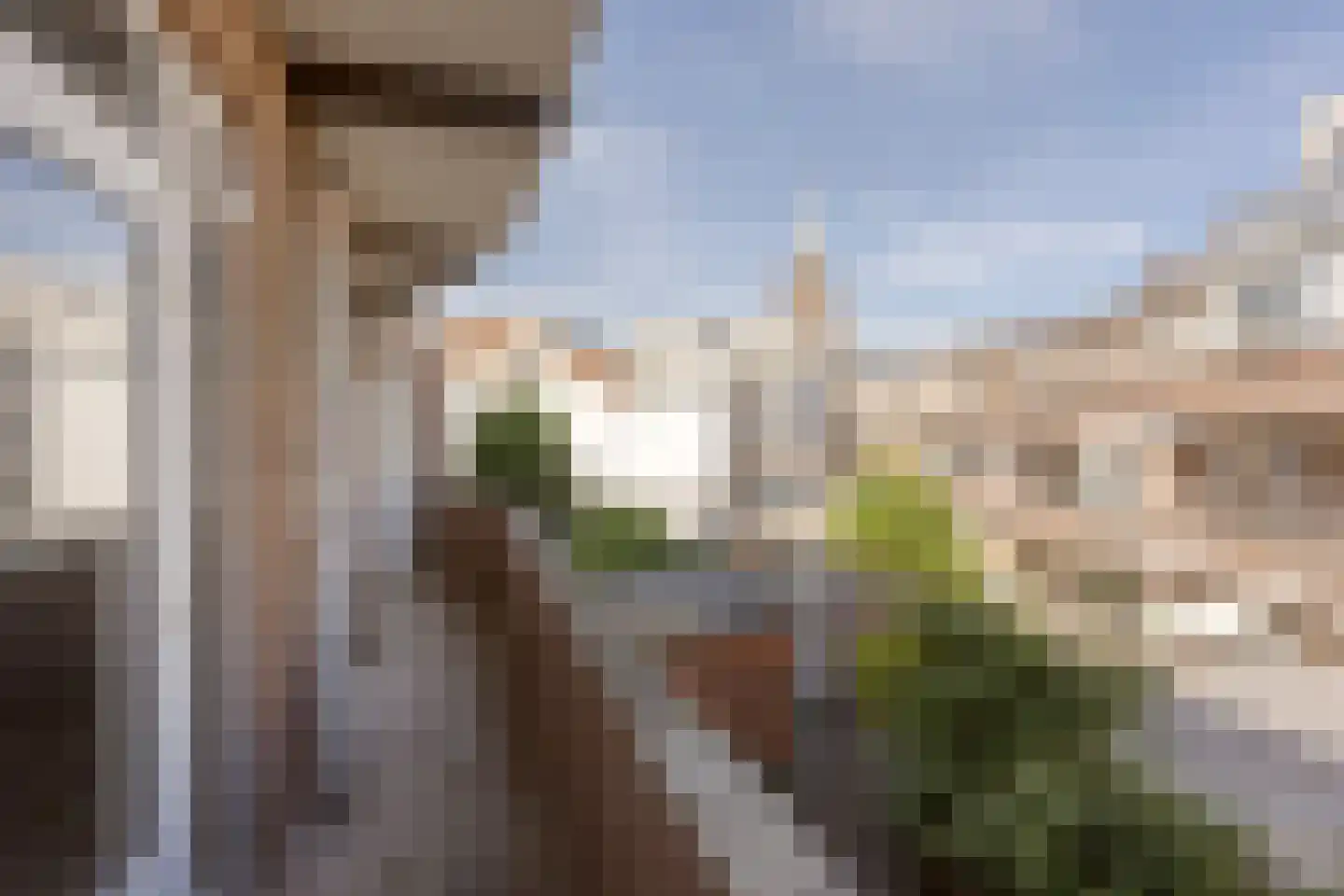 Zeeruststraat 222 Den Haag thumbnail 19