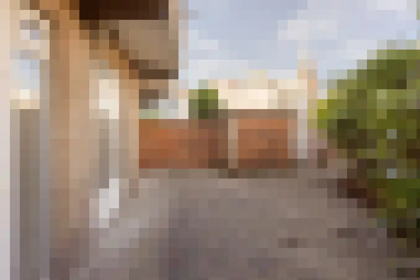 Zeeruststraat 222 Den Haag thumbnail 32