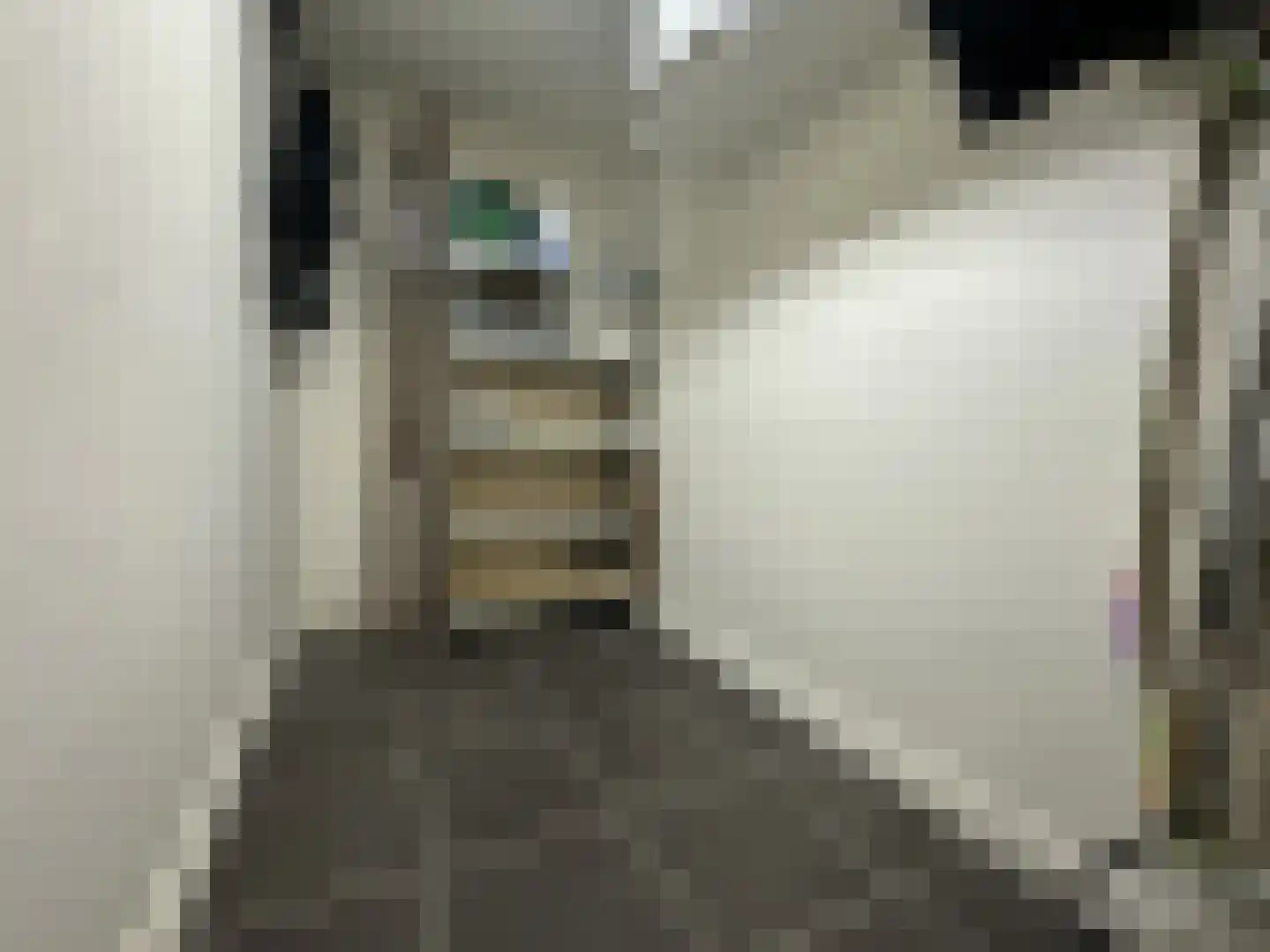 Zeeruststraat 82 Den Haag thumbnail 12