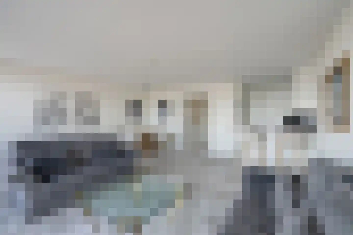 Zeeruststraat 88 Den Haag thumbnail 14