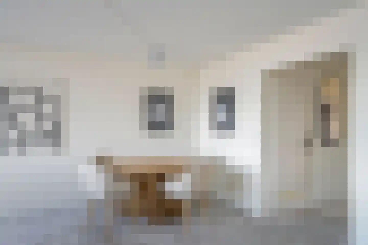 Zeeruststraat 88 Den Haag thumbnail 17
