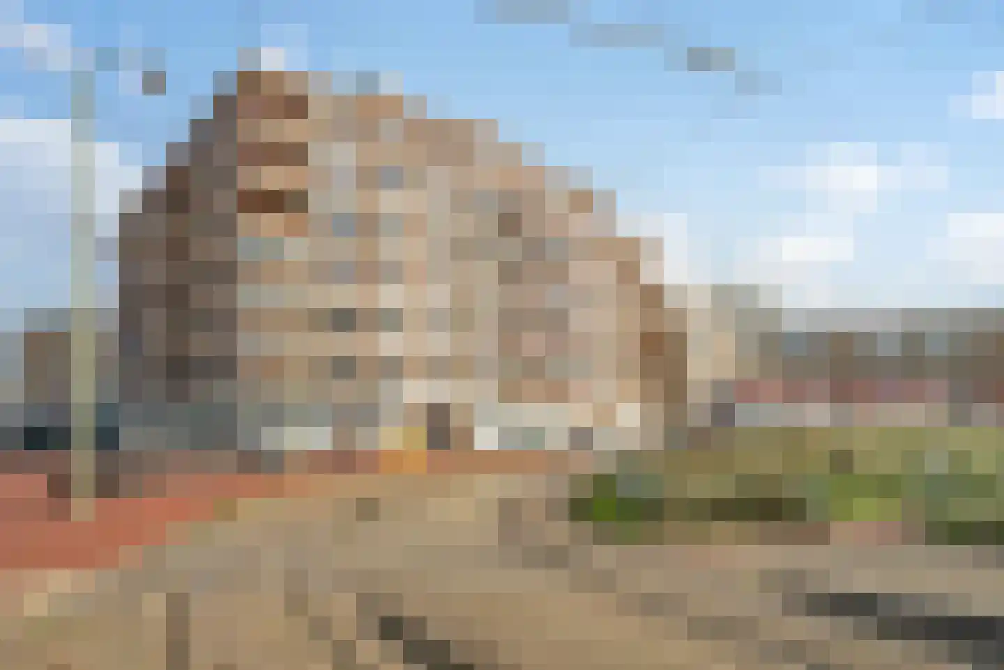 Zeeruststraat 88 Den Haag thumbnail 29