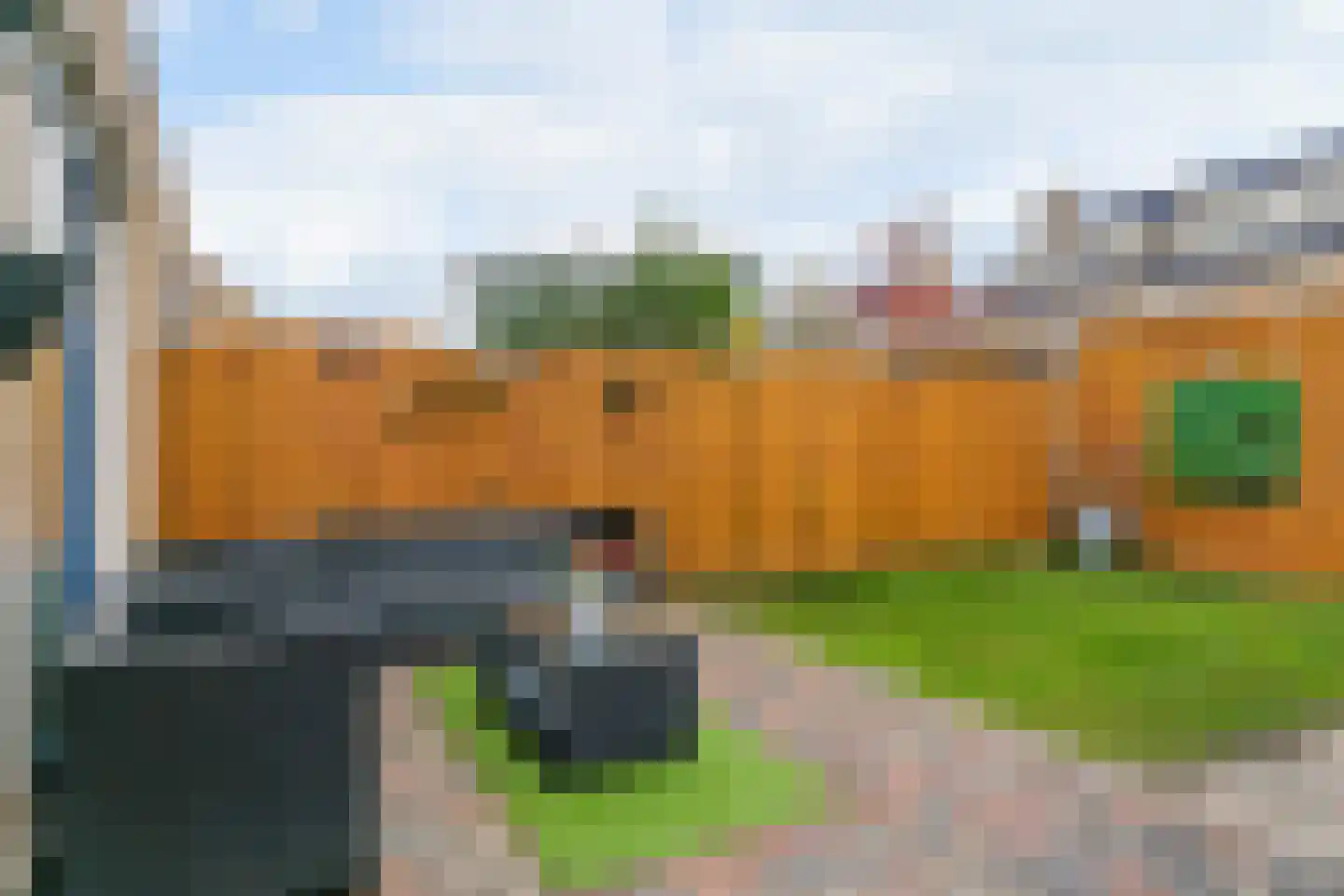 Zeeschildpad 26 Heerhugowaard thumbnail 23