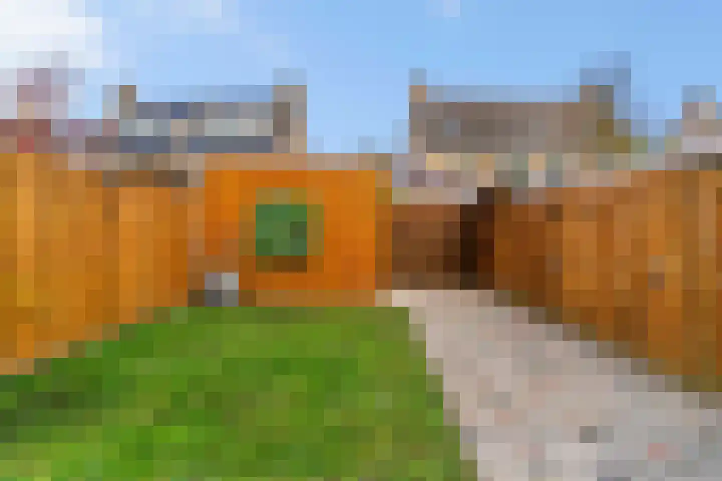 Zeeschildpad 26 Heerhugowaard thumbnail 24