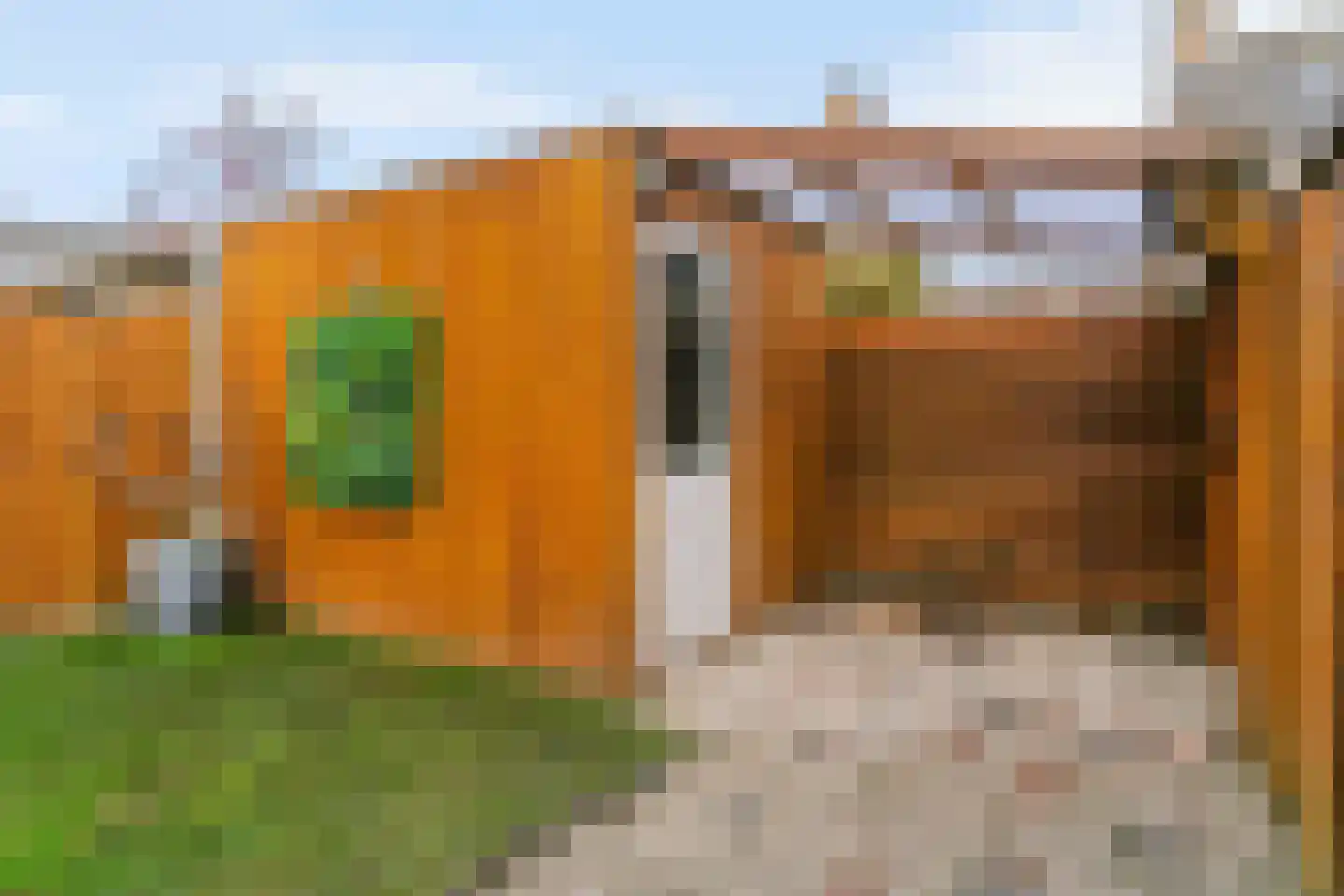 Zeeschildpad 26 Heerhugowaard thumbnail 25