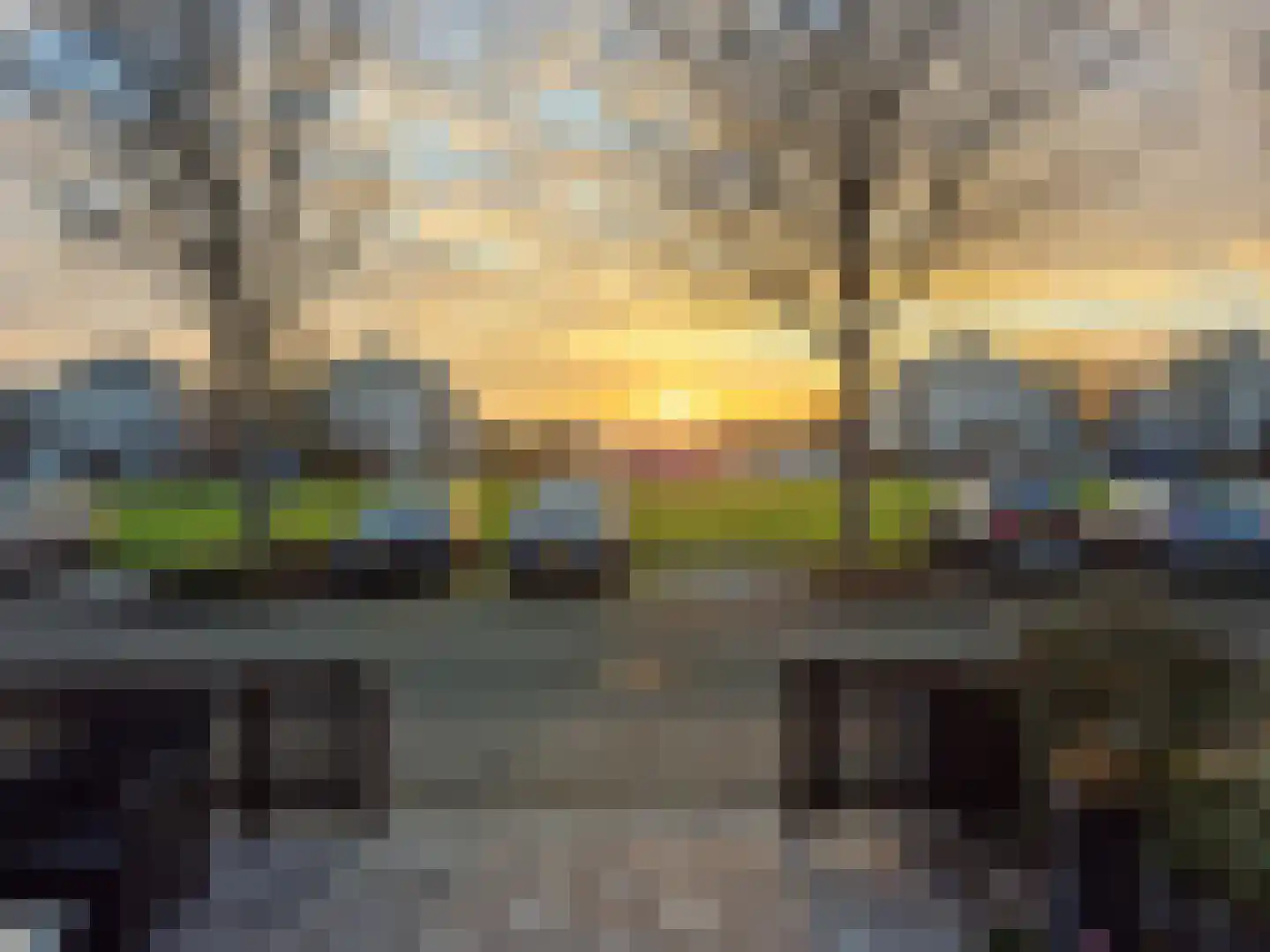 Zeeschildpad 26 Heerhugowaard thumbnail 27