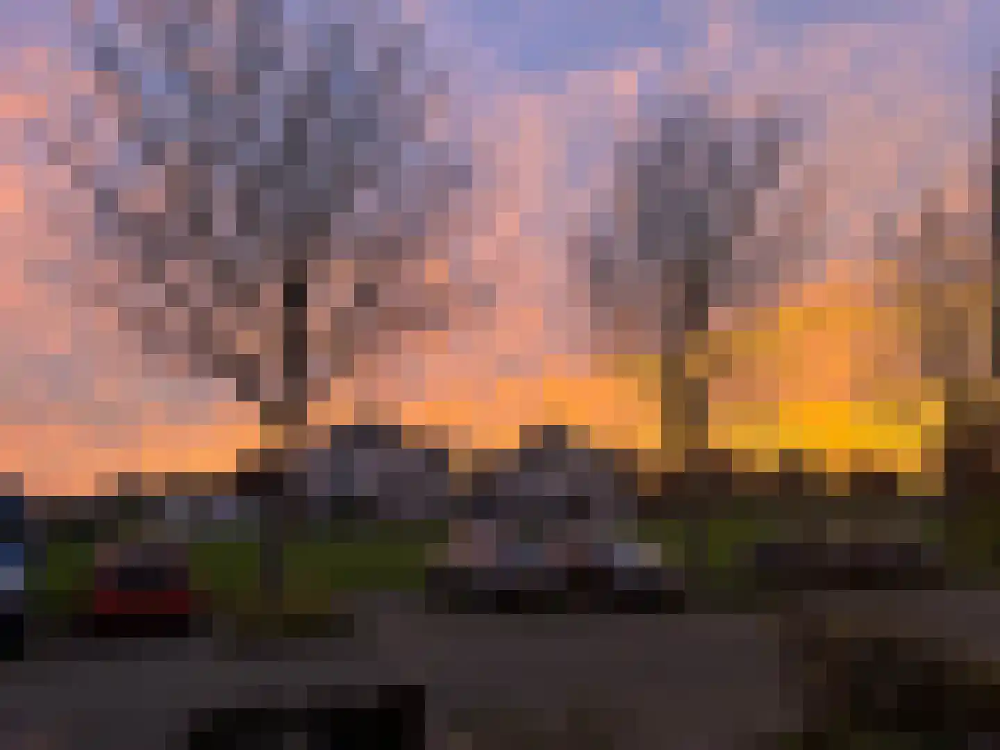 Zeeschildpad 26 Heerhugowaard thumbnail 28