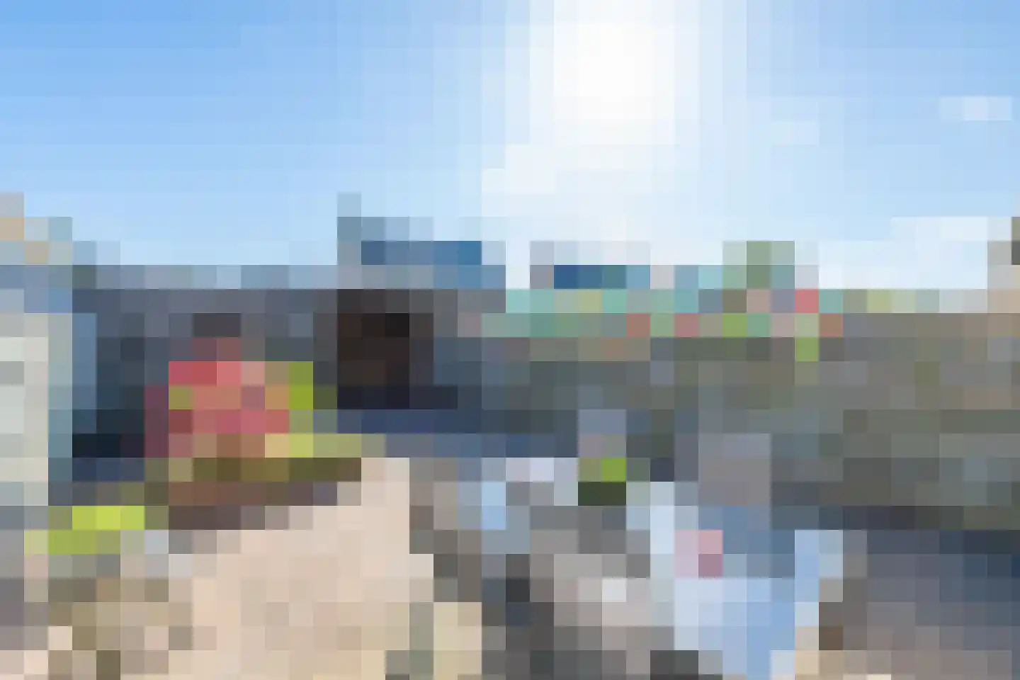 Zeeschildpad 48 Heerhugowaard thumbnail 31