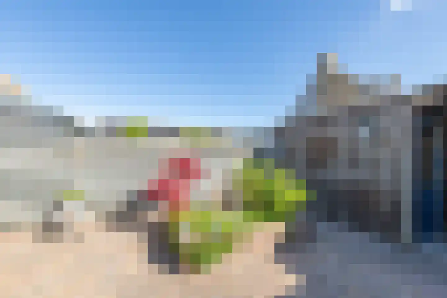 Zeeschildpad 48 Heerhugowaard thumbnail 32