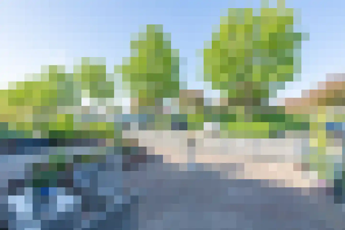 Zeeschildpad 48 Heerhugowaard thumbnail 37