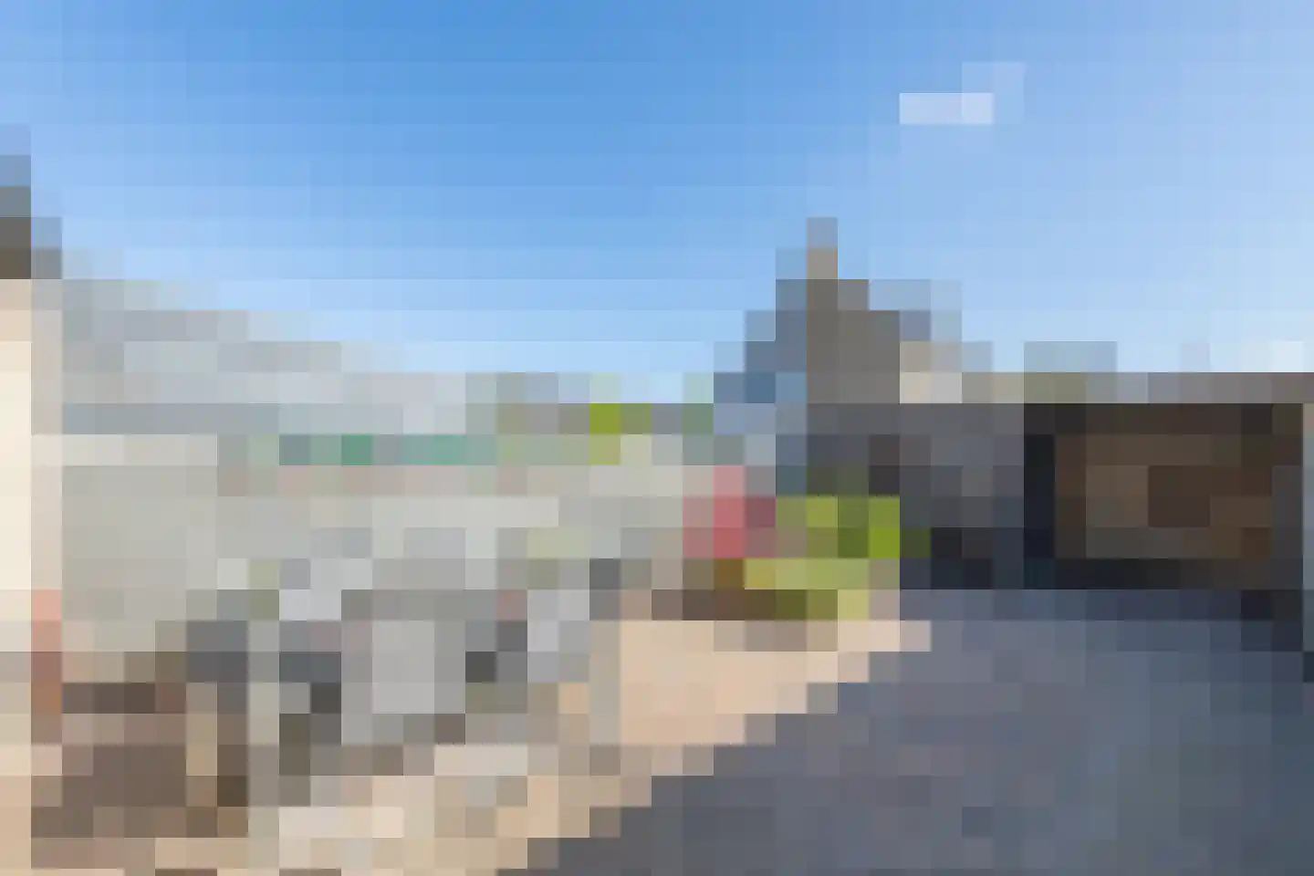 Zeeschildpad 48 Heerhugowaard thumbnail 6