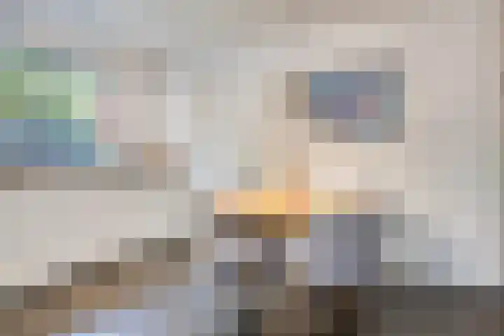 Zeesluis 19 Hulst thumbnail 16
