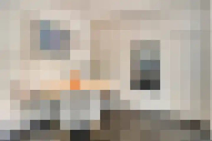 Zeesluis 19 Hulst thumbnail 17