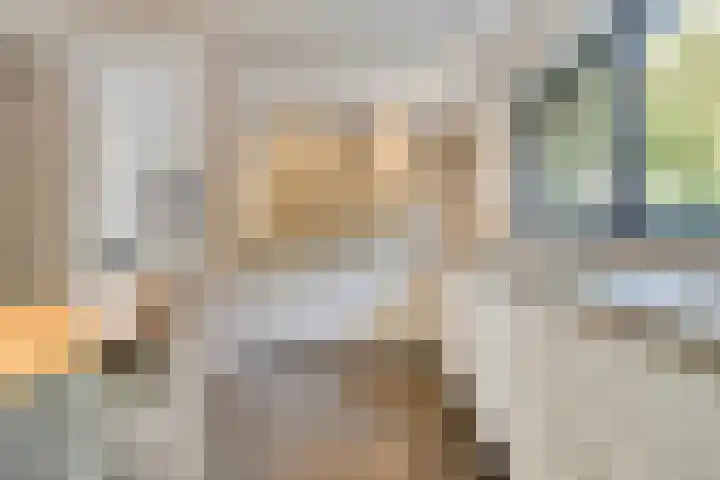Zeesluis 19 Hulst thumbnail 18