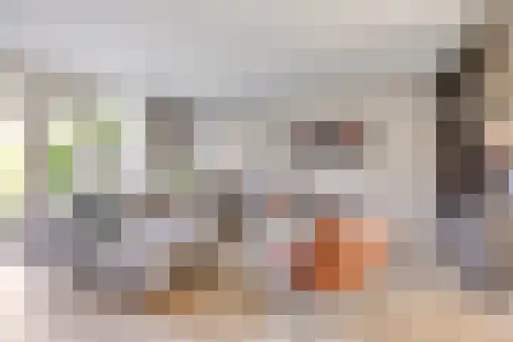 Zeesluis 19 Hulst thumbnail 22