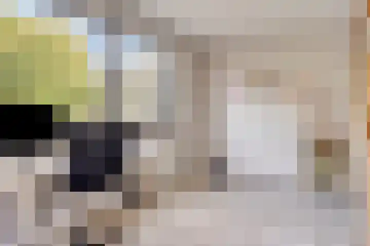 Zeesluis 19 Hulst thumbnail 25