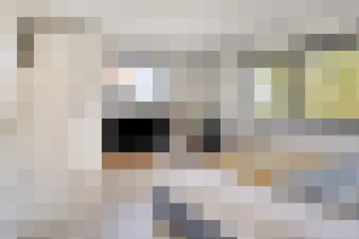 Zeesluis 19 Hulst thumbnail 34