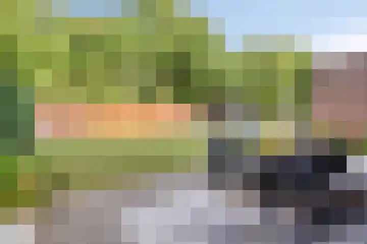 Zeesluis 19 Hulst thumbnail 36