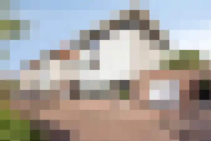 Zeesluis 19 Hulst thumbnail 5
