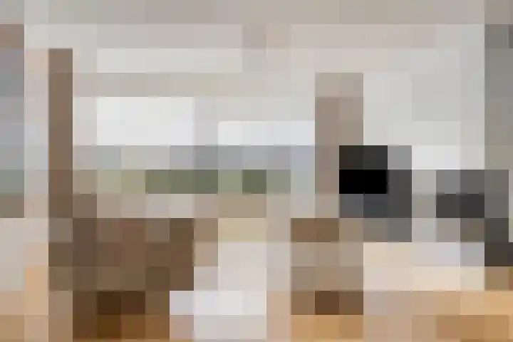 Zeesluis 19 Hulst thumbnail 7