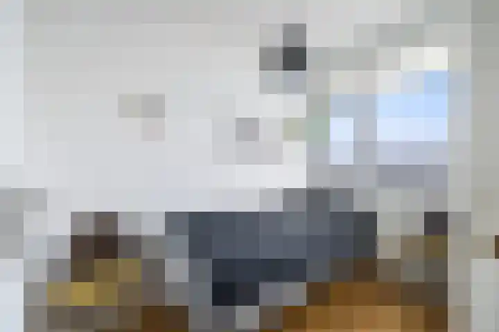 Zeesluisweg 168 Den Haag thumbnail 19
