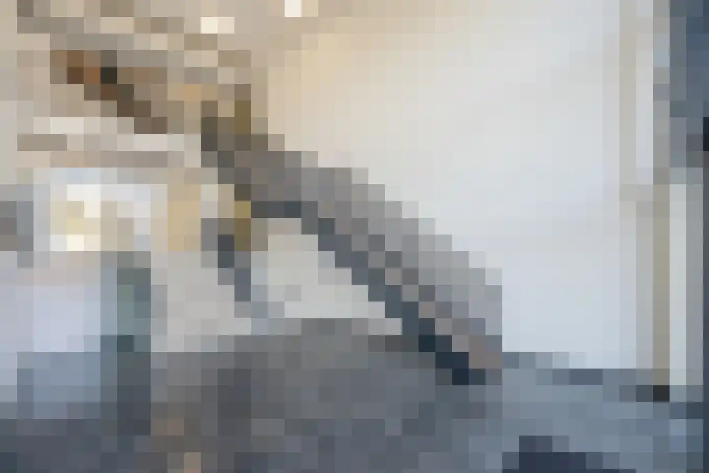 Zeesluisweg 54 L Den Haag thumbnail 7