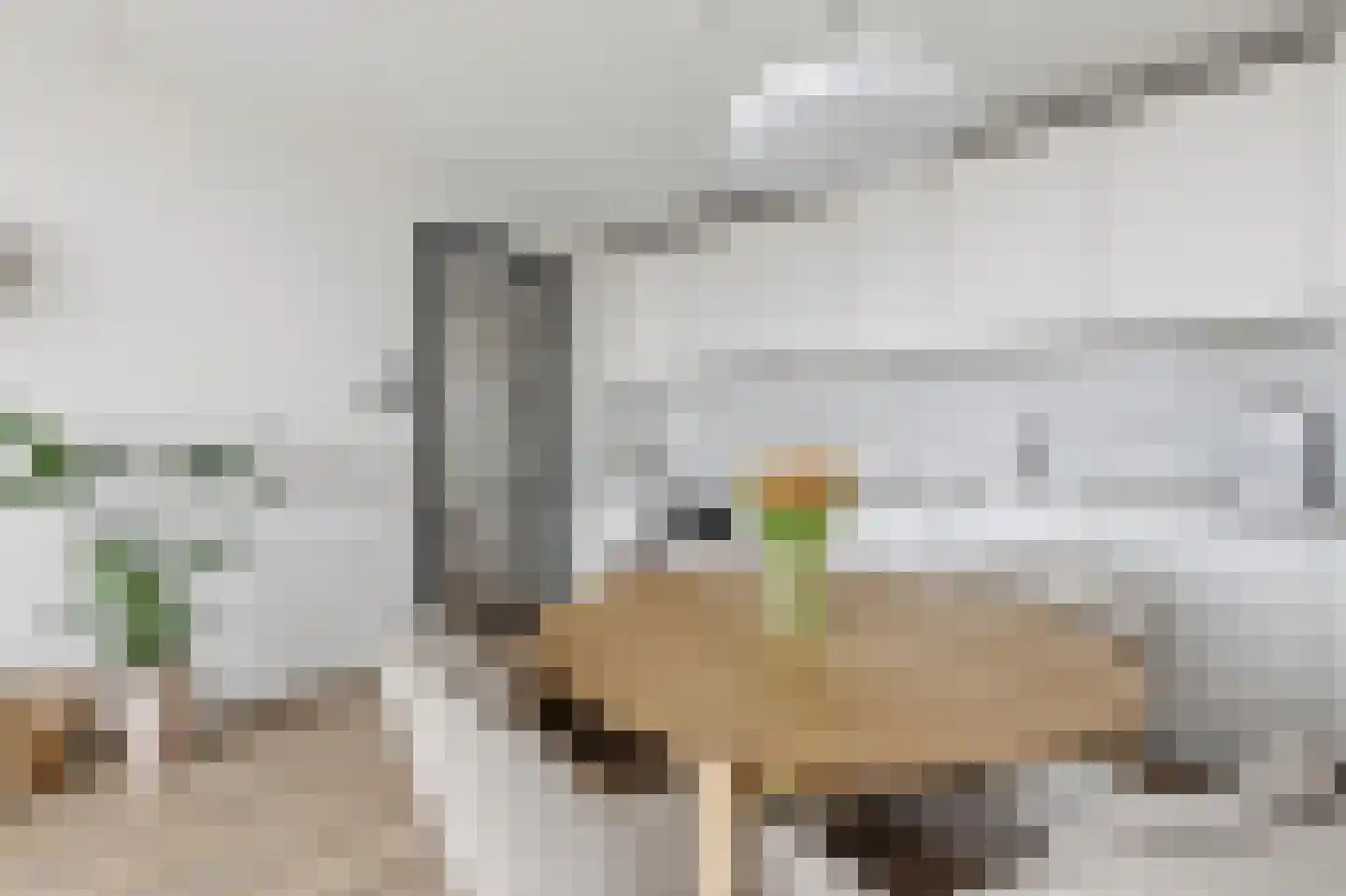 Zeesluisweg 62 C Den Haag thumbnail 16