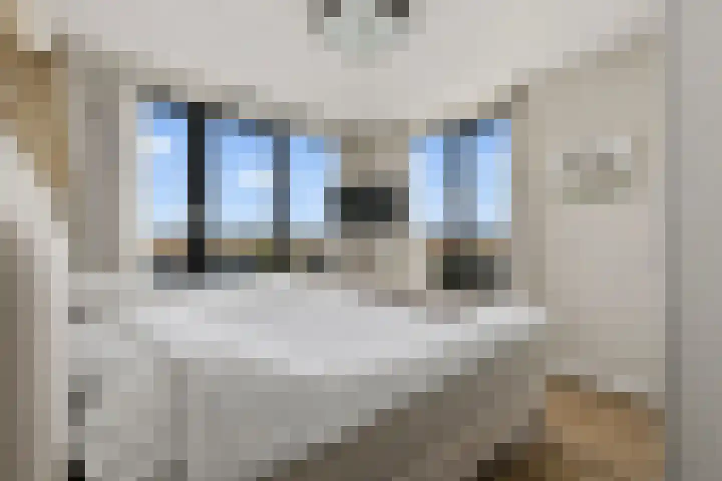 Zeesluisweg 62 C Den Haag thumbnail 24