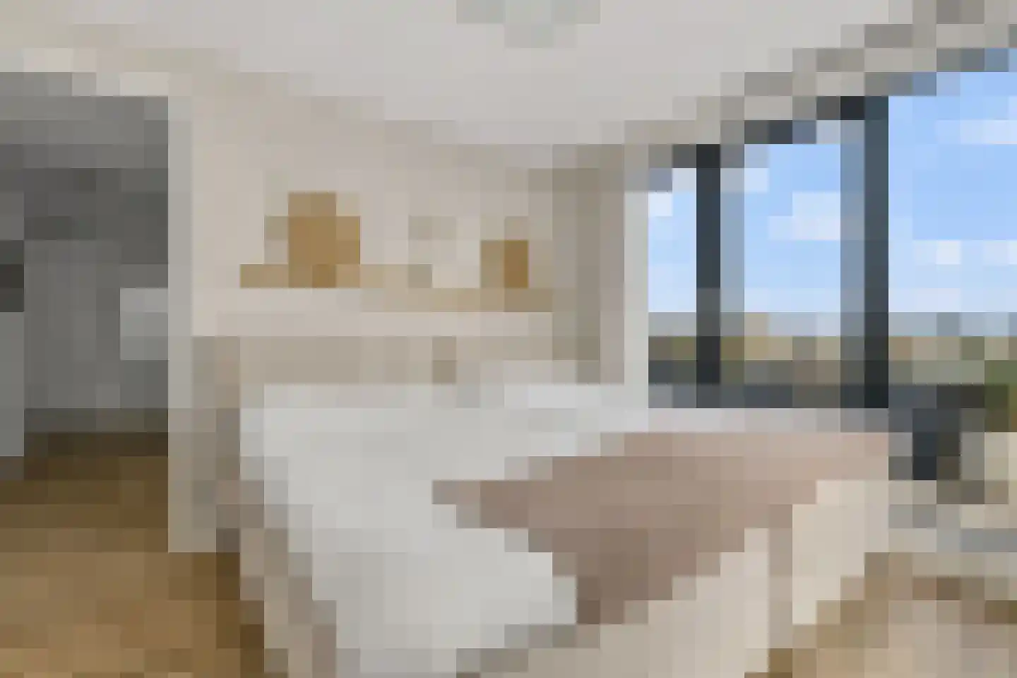 Zeesluisweg 62 C Den Haag thumbnail 25