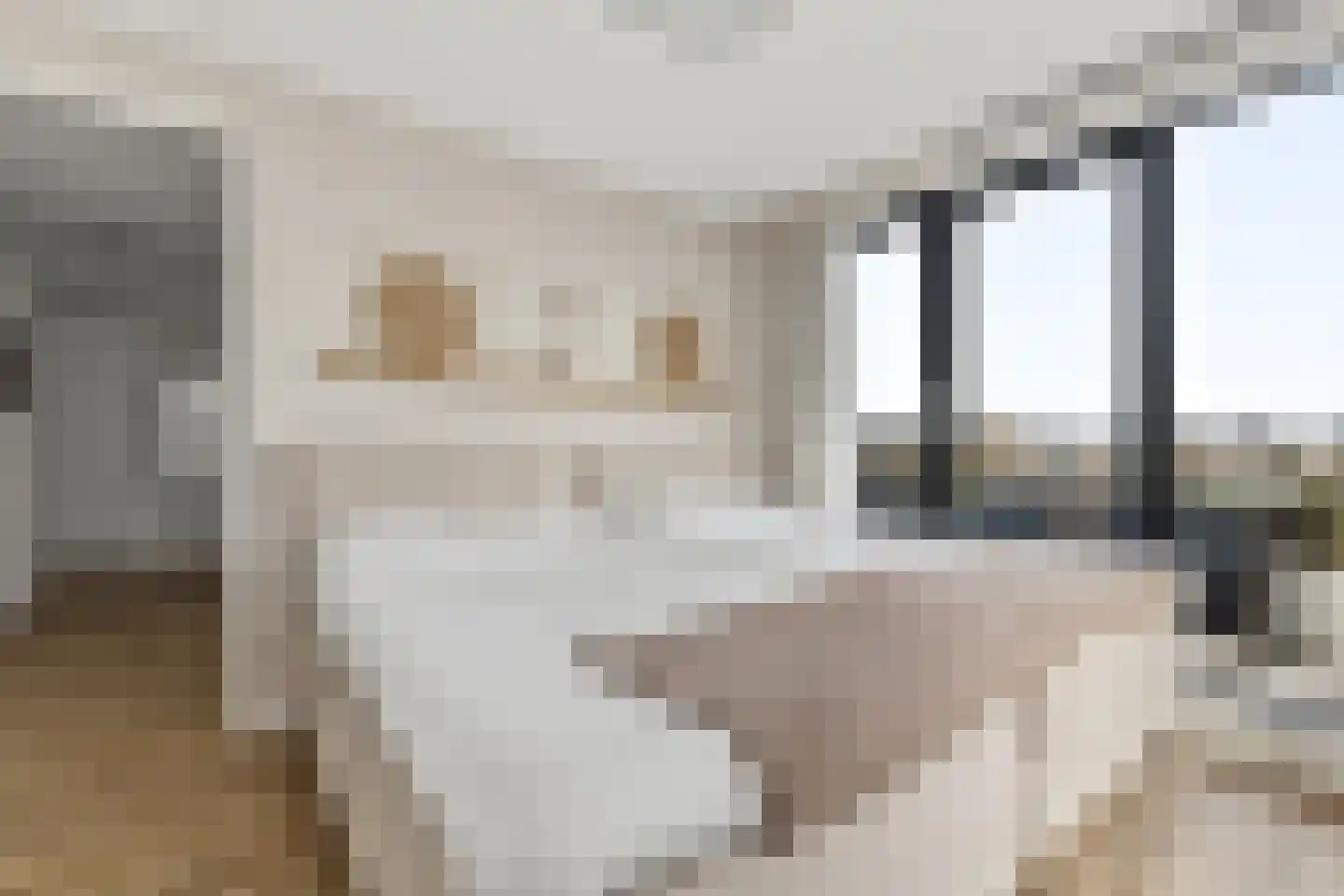 Zeesluisweg 62 C Den Haag thumbnail 30