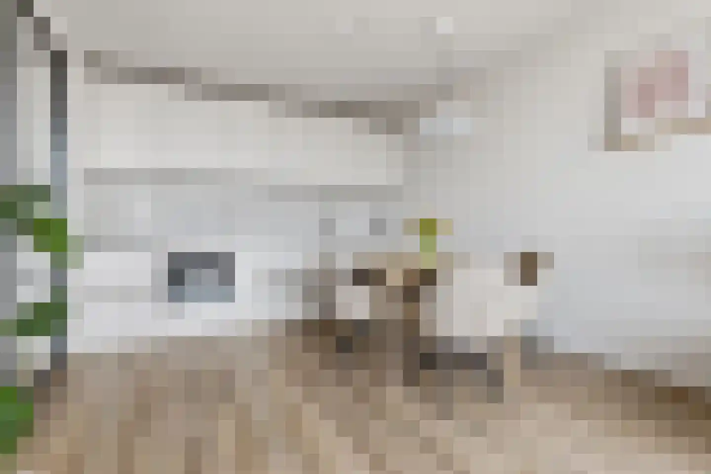 Zeesluisweg 62 C Den Haag thumbnail 4