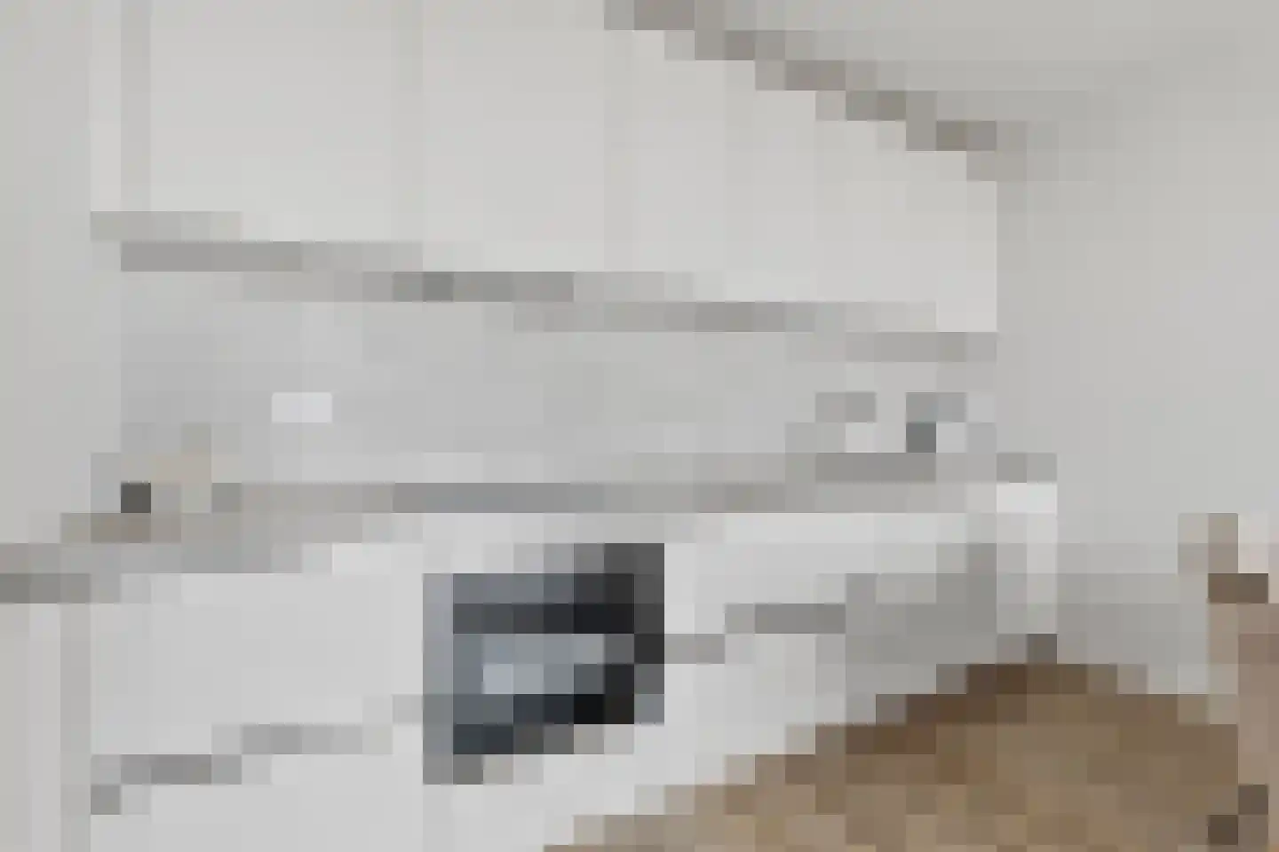Zeesluisweg 62 C Den Haag thumbnail 5