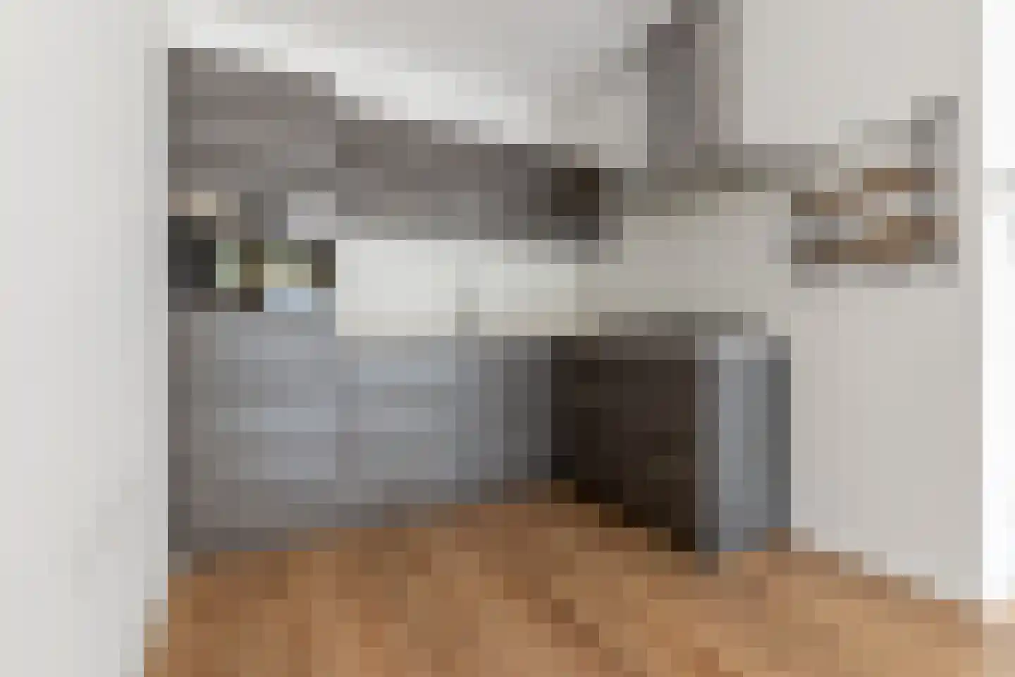 Zeesluisweg 78 M Den Haag thumbnail 16